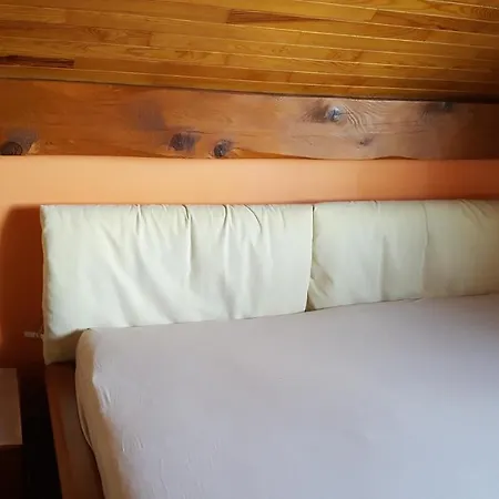Cosy Nearby Geneva Guest house